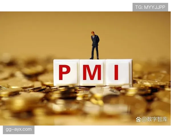 伊布比赛影响指数持续提升，近期表现稳健备受关注